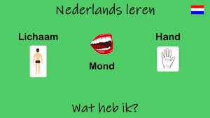 nederlandse taal leren