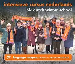 intensieve cursus nederlands