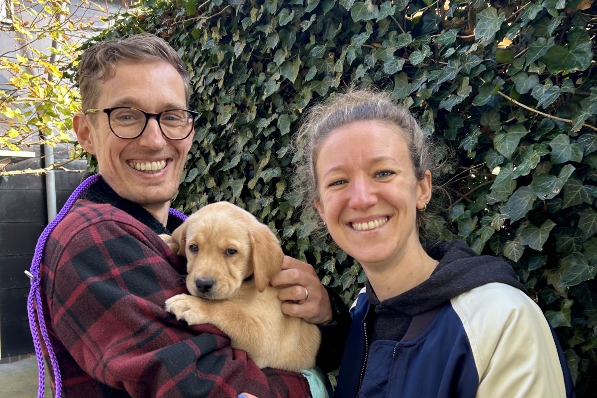 vrijwilligerswerk honden