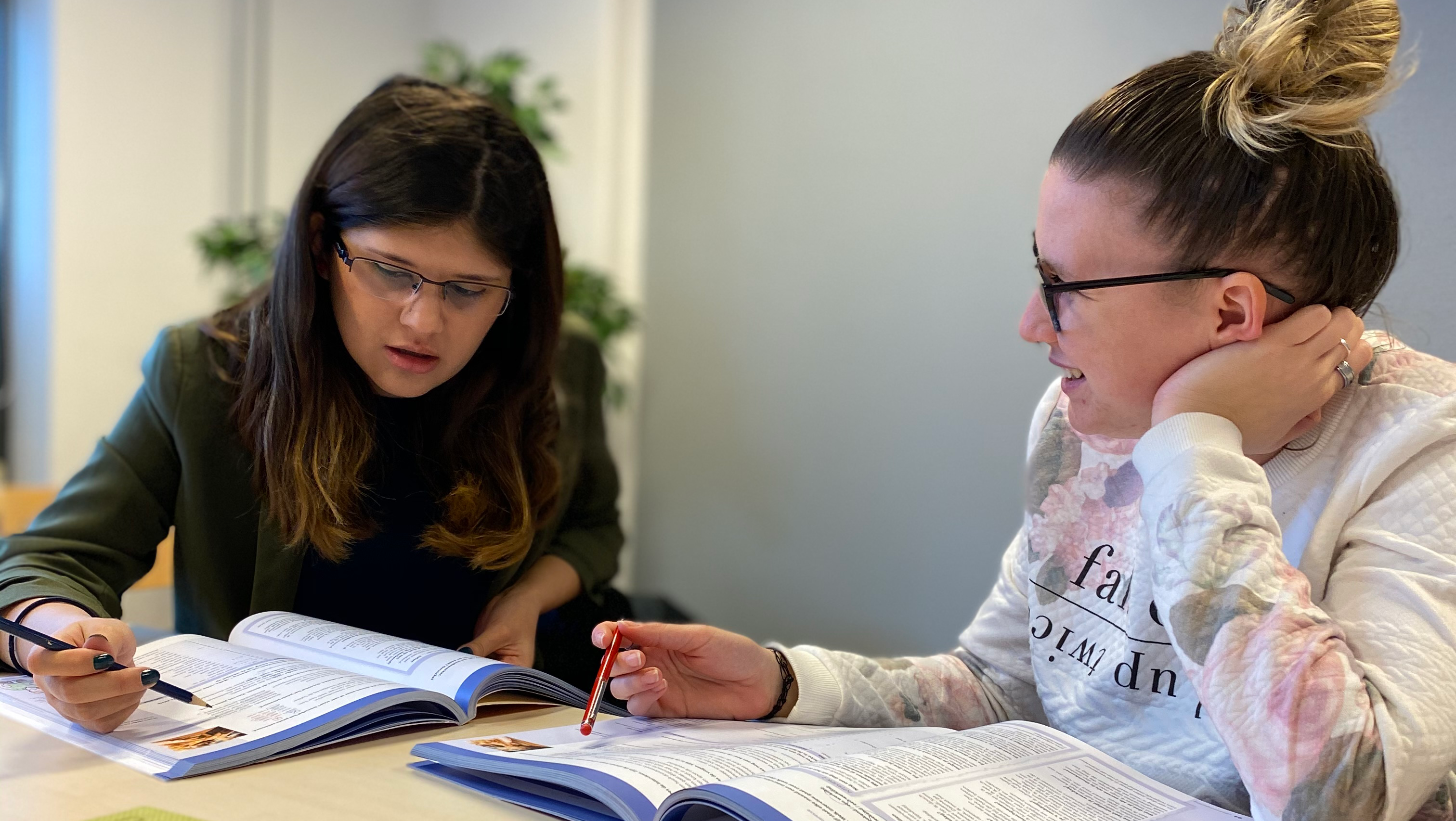 c1 nederlands cursus