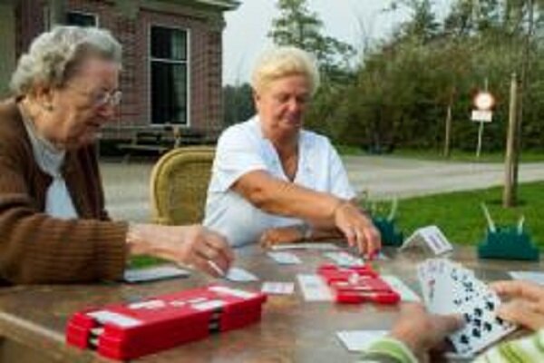 als vrijwilliger werken