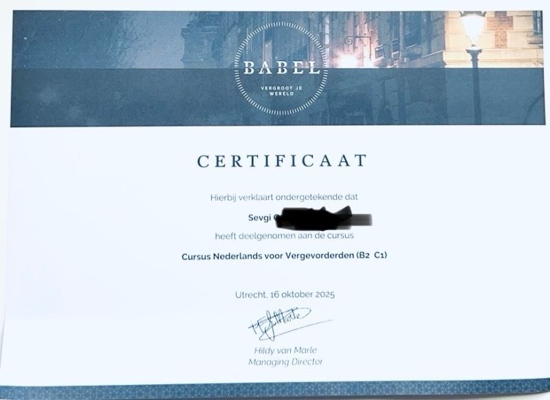 c1 nederlands cursus