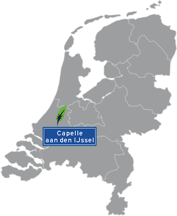 taalcursussen nederlands