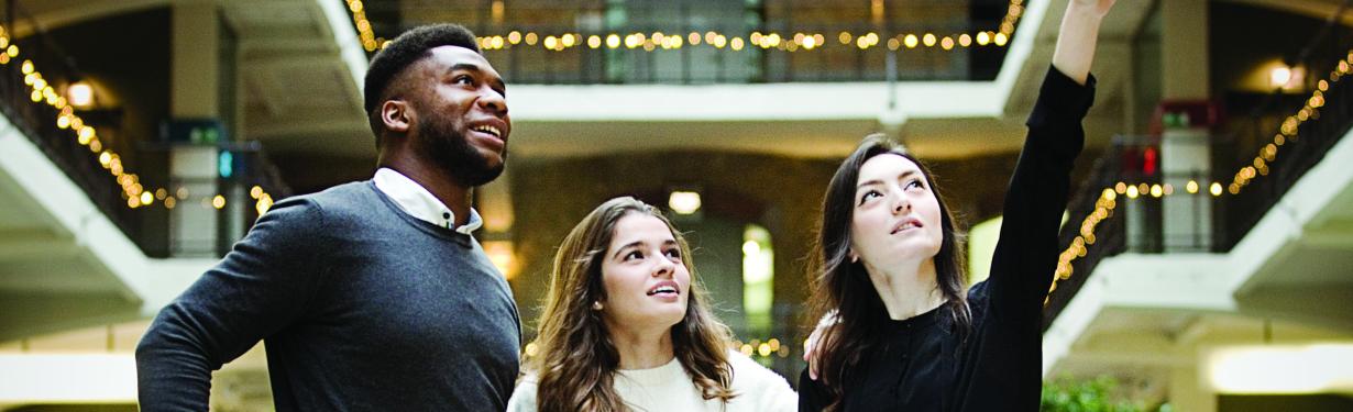 cursus office manager