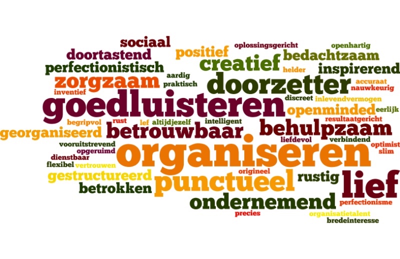 vrijwilligers organisaties