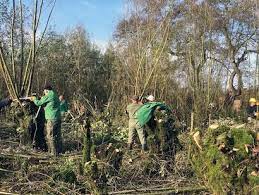 vrijwilligerswerk natuur