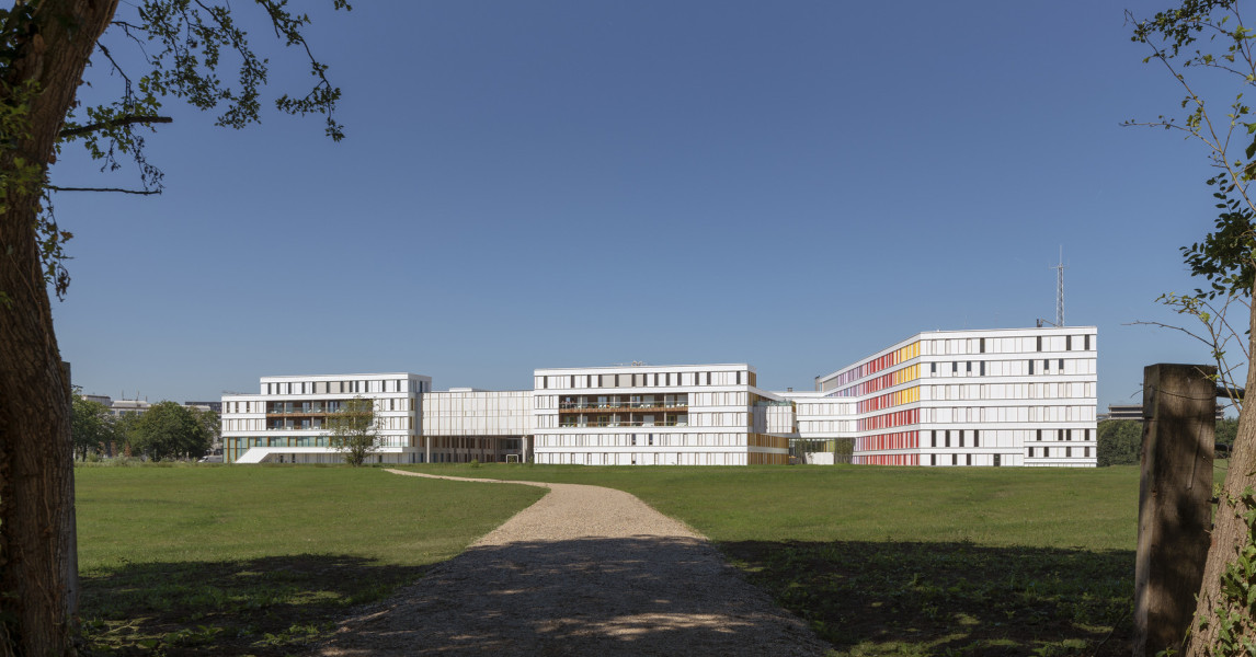 prinses maxima centrum vrijwilligerswerk